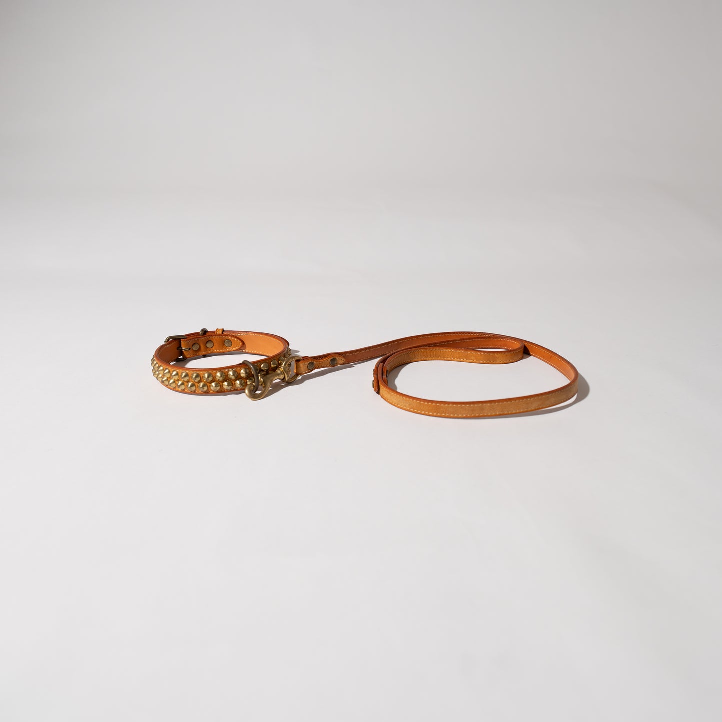 DOG LEASH AND COLLAR SET